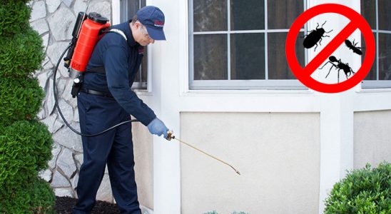 Terme Bit İlaçlama böcek ilaçlama ve haşere kontrolü — ilaclama-tr.com